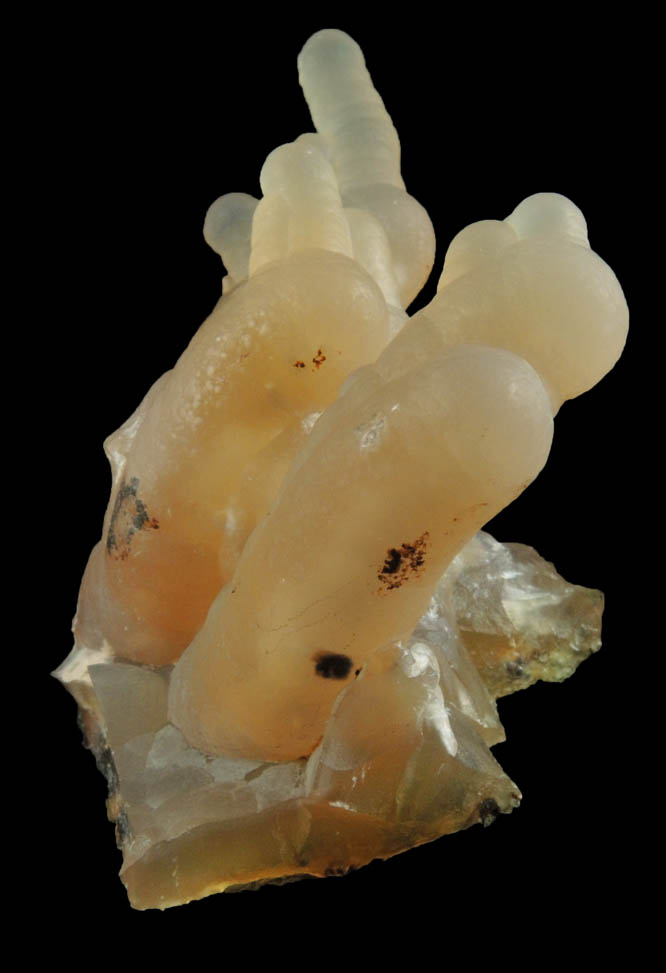 Quartz var. Chalcedony from Anglona, Sardinia, Italy