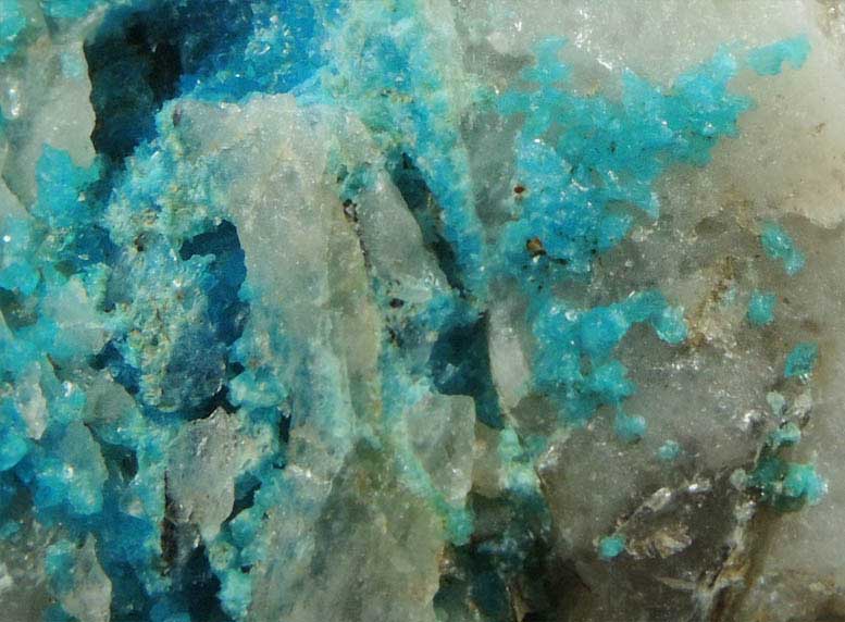 Turquoise crystals on Quartz from Bishop Mine, Lynch Station, Campbell County, Virginia