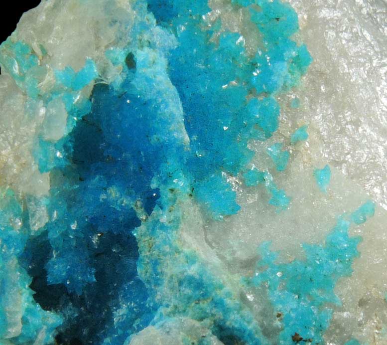 Turquoise crystals on Quartz from Bishop Mine, Lynch Station, Campbell County, Virginia