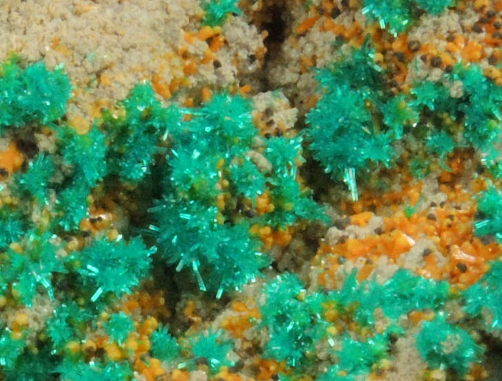 Dioptase, Wulfenite, Mimetite, Willemite from Mammoth Mine, Tiger District, Pinal County, Arizona