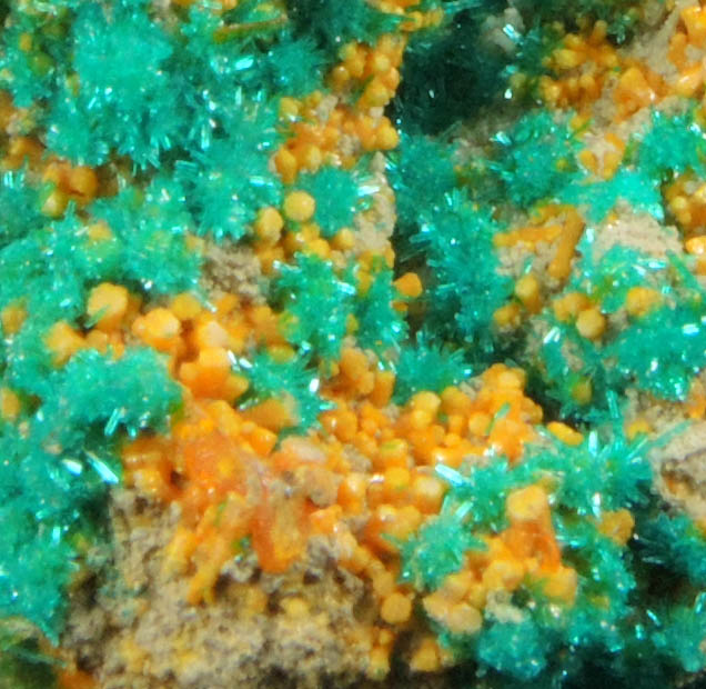 Dioptase, Wulfenite, Mimetite, Willemite from Mammoth Mine, Tiger District, Pinal County, Arizona