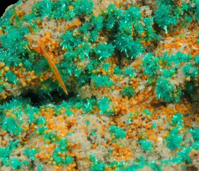 Dioptase, Wulfenite, Mimetite, Willemite from Mammoth Mine, Tiger District, Pinal County, Arizona