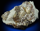 Pyrite in Dickite-Quartz from Milpillas Mine, Cuitaca, Sonora, Mexico