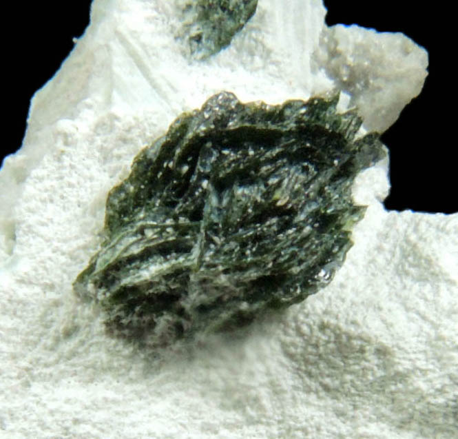 Volborthite from Milpillas Mine, Cuitaca, Sonora, Mexico