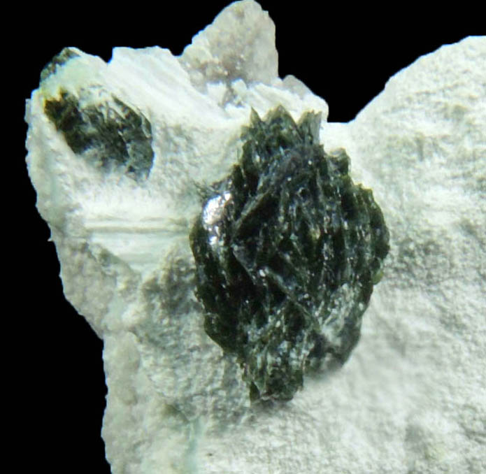 Volborthite from Milpillas Mine, Cuitaca, Sonora, Mexico