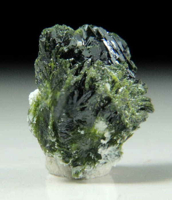 Volborthite from Milpillas Mine, Cuitaca, Sonora, Mexico