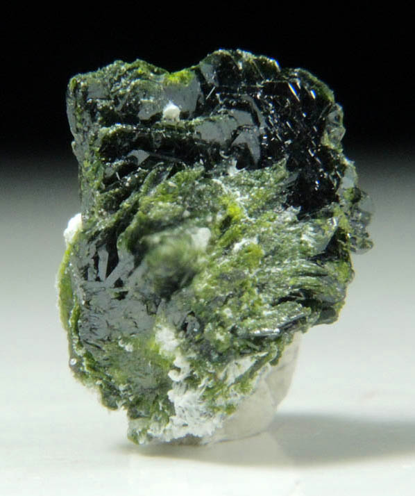 Volborthite from Milpillas Mine, Cuitaca, Sonora, Mexico