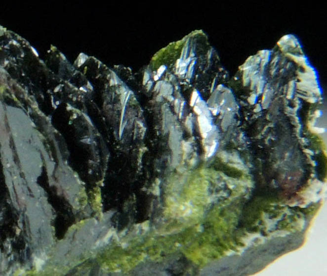 Volborthite from Milpillas Mine, Cuitaca, Sonora, Mexico