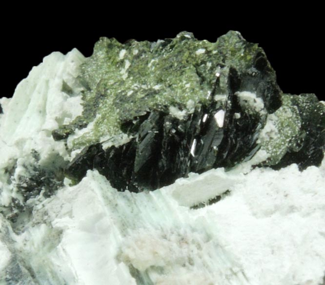 Volborthite from Milpillas Mine, Cuitaca, Sonora, Mexico