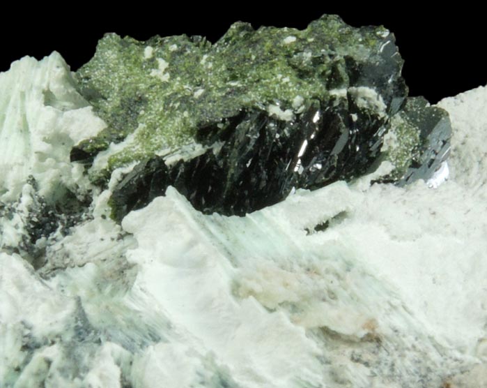 Volborthite from Milpillas Mine, Cuitaca, Sonora, Mexico