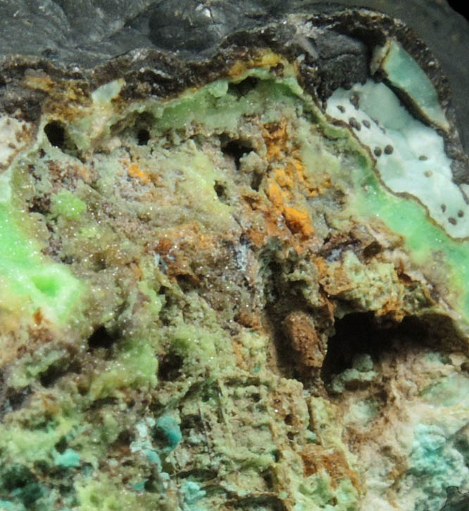 Mottramite on Phosphohedyphane, Chrysocolla, Goethite from Cove Vein, Whytes Cleuch, Wanlockhead, Dumfriesshire, Scotland