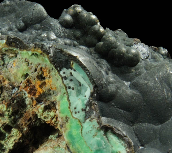 Mottramite on Phosphohedyphane, Chrysocolla, Goethite from Cove Vein, Whytes Cleuch, Wanlockhead, Dumfriesshire, Scotland