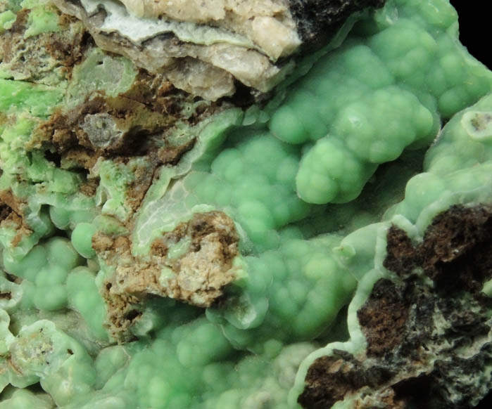 Phosphohedyphane, Mottramite, Mimetite from Cove Vein, Whytes Cleuch, Wanlockhead, Dumfriesshire, Scotland