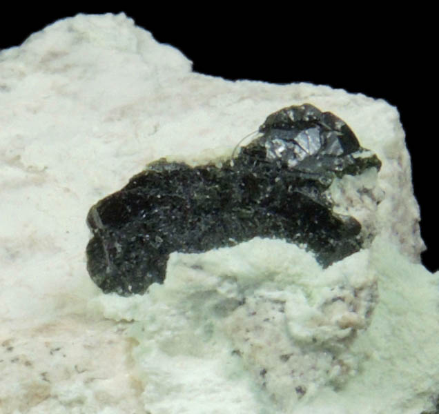 Volborthite from Milpillas Mine, Cuitaca, Sonora, Mexico