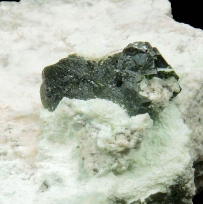 Volborthite from Milpillas Mine, Cuitaca, Sonora, Mexico