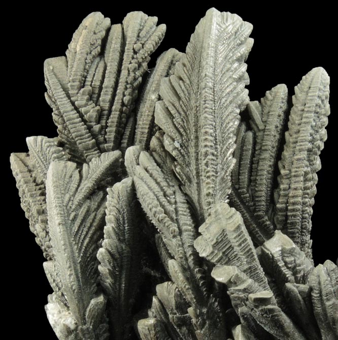 Magnesium (Synthetic) from Man-made
