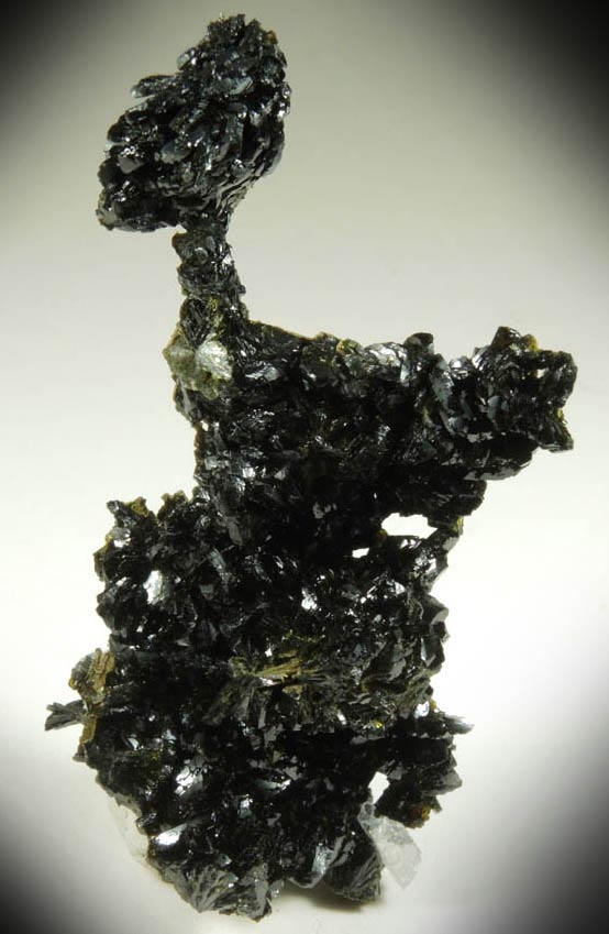 Epidote from Lane's Quarry, Westfield, Hampden County, Massachusetts