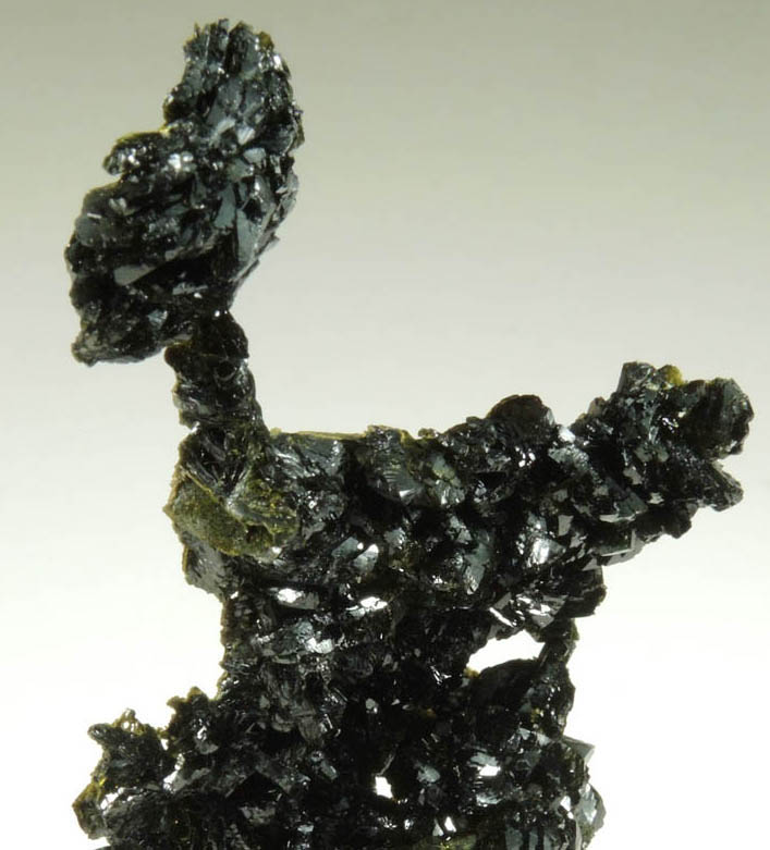 Epidote from Lane's Quarry, Westfield, Hampden County, Massachusetts