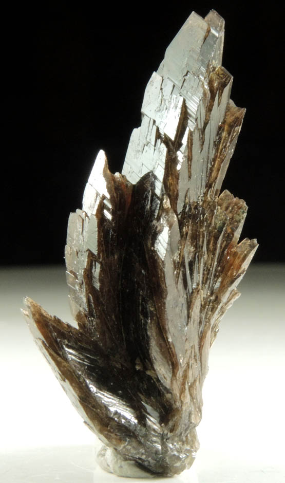Axinite-(Fe), formerly known as Ferro-axinite from Borosilikatnoye deposit, Dalnegorsk, Primorskiy Kray, Russia