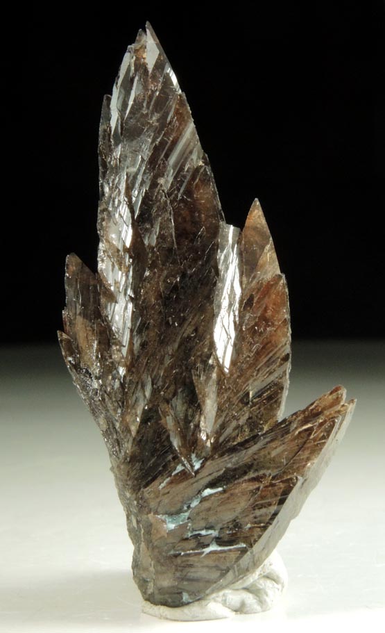 Axinite-(Fe), formerly known as Ferro-axinite from Borosilikatnoye deposit, Dalnegorsk, Primorskiy Kray, Russia