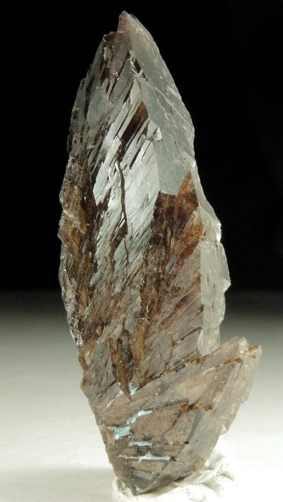 Axinite-(Fe), formerly known as Ferro-axinite from Borosilikatnoye deposit, Dalnegorsk, Primorskiy Kray, Russia