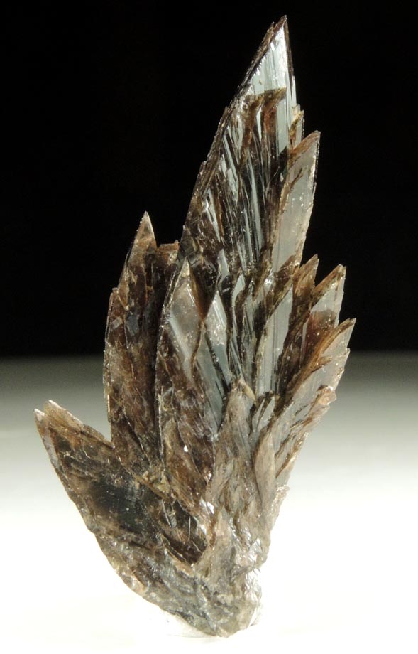 Axinite-(Fe), formerly known as Ferro-axinite from Borosilikatnoye deposit, Dalnegorsk, Primorskiy Kray, Russia