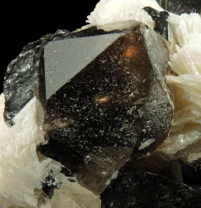 Topaz (gem-grade) in Albite with Smoky Quartz from Shigar Valley, Skardu District, Baltistan, Gilgit-Baltistan, Pakistan