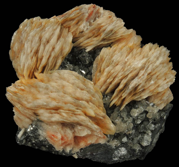 Barite and Cerussite on Galena from Mibladen, Haute Moulouya Basin, Zeida-Aouli-Mibladen belt, Midelt Province, Morocco