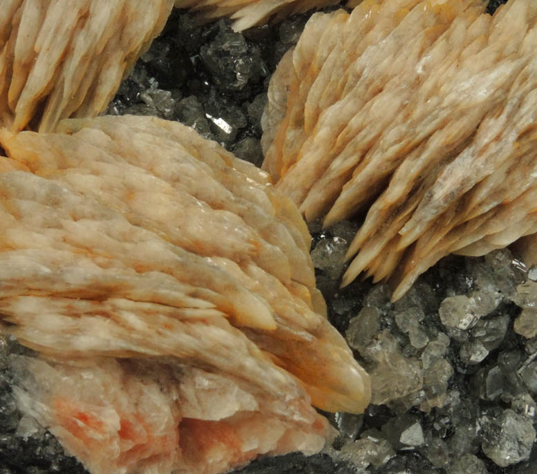 Barite and Cerussite on Galena from Mibladen, Haute Moulouya Basin, Zeida-Aouli-Mibladen belt, Midelt Province, Morocco