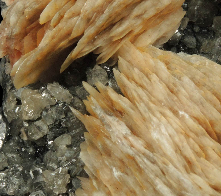 Barite and Cerussite on Galena from Mibladen, Haute Moulouya Basin, Zeida-Aouli-Mibladen belt, Midelt Province, Morocco