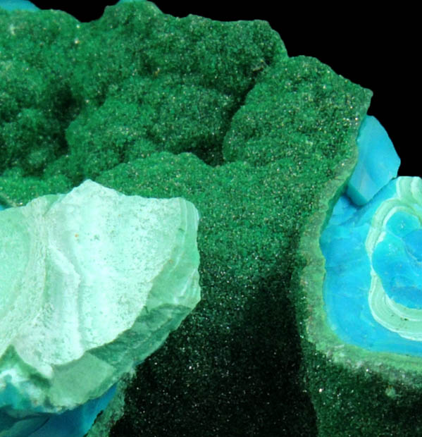 Malachite on Chrysocolla from Kolwezi Mining District, 240 km WNW of  Lubumbashi, Katanga Copperbelt, Lualaba Province, Democratic Republic of the Congo