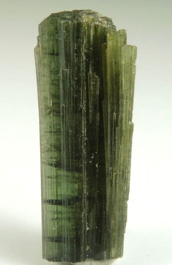 Elbaite Tourmaline from Galileia, Minas Gerais, Brazil