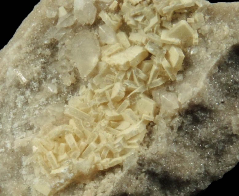 Barite with Calcite from Pugh Quarry, 6 km NNW of Custar, Wood County, Ohio