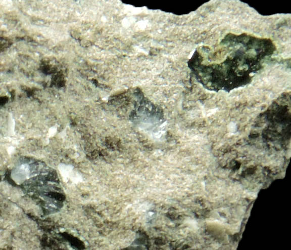 Babingtonite, Prehnite, Chlorite from Sanders Quarry, Warrenton, Fauquier County, Virginia