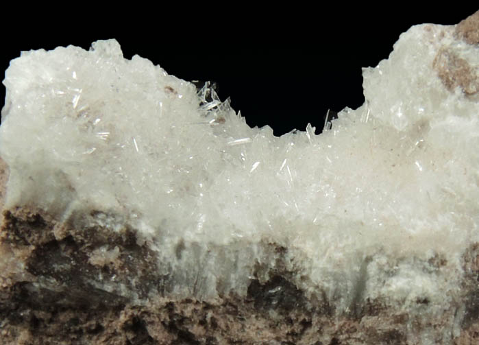 Gypsum var. Selenite from Mule Canyon, Calico Mountains, San Bernadino County, California