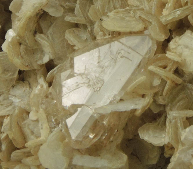 Topaz and Muscovite on Albite from Shigar Valley, Skardu District, Baltistan, Gilgit-Baltistan, Pakistan