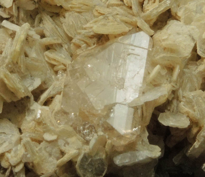 Topaz and Muscovite on Albite from Shigar Valley, Skardu District, Baltistan, Gilgit-Baltistan, Pakistan