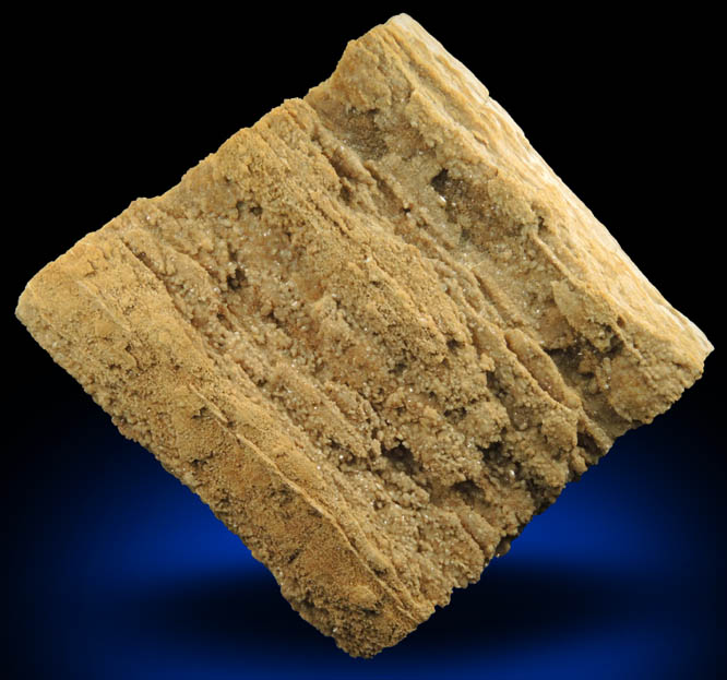 Quartz var. Petrified Coniferous Wood (Silicified Wood) from Cretaceous Potomac Group sediments, Washington, District of Columbia