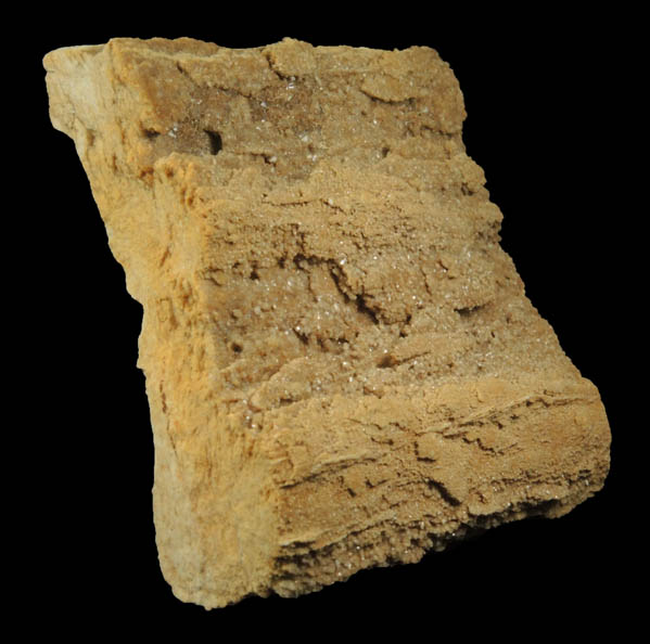 Quartz var. Petrified Coniferous Wood (Silicified Wood) from Cretaceous Potomac Group sediments, Washington, District of Columbia