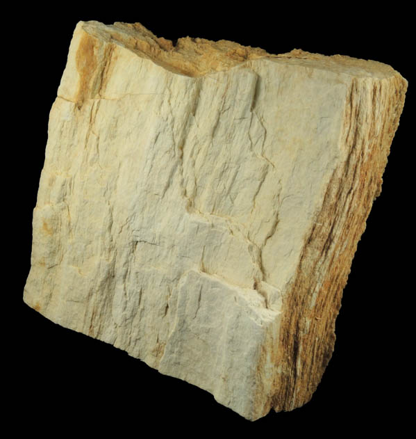 Quartz var. Petrified Coniferous Wood (Silicified Wood) from Cretaceous Potomac Group sediments, Washington, District of Columbia