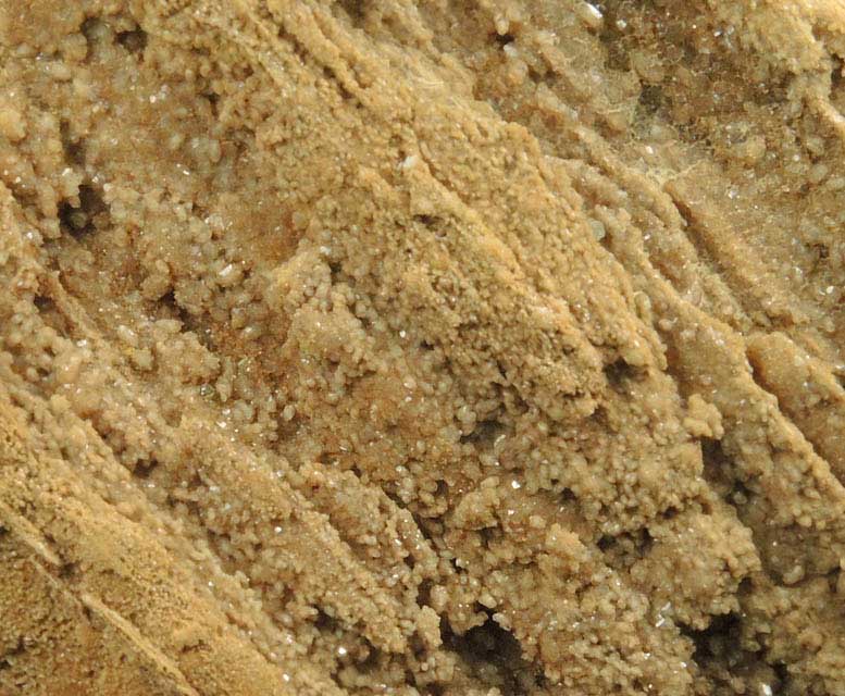 Quartz var. Petrified Coniferous Wood (Silicified Wood) from Cretaceous Potomac Group sediments, Washington, District of Columbia