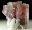 Elbaite var. Rubellite Tourmaline, Lepidolite, Albite from Himalaya Mine, Mesa Grande District, San Diego County, California