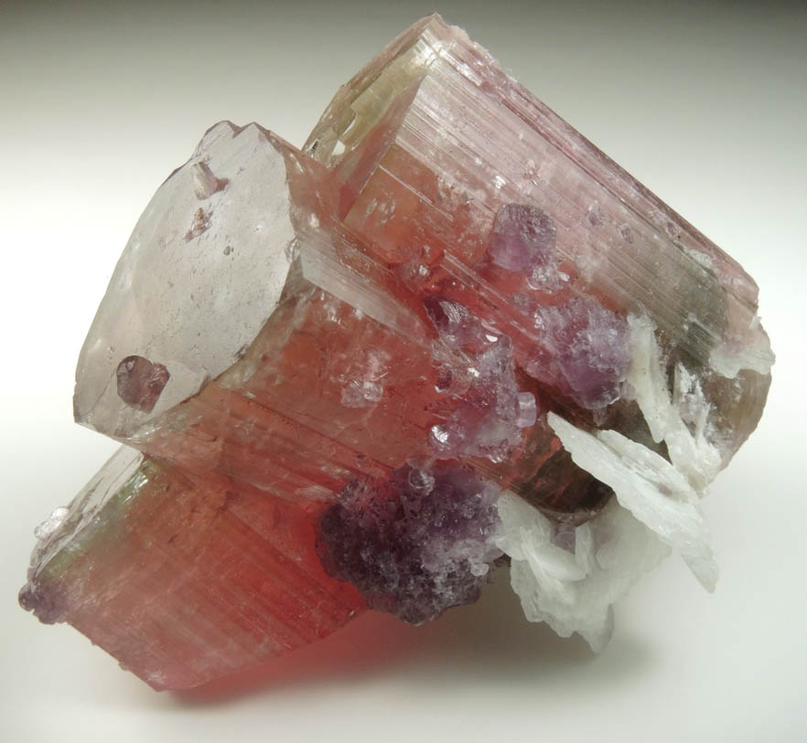 Elbaite var. Rubellite Tourmaline, Lepidolite, Albite from Himalaya Mine, Mesa Grande District, San Diego County, California