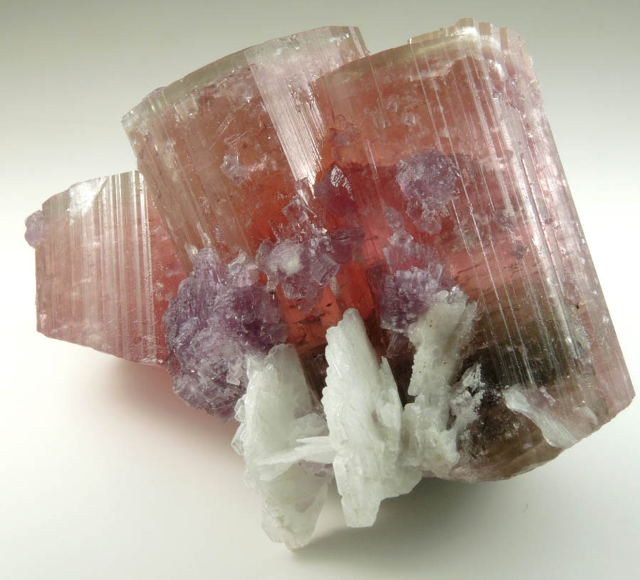 Elbaite var. Rubellite Tourmaline, Lepidolite, Albite from Himalaya Mine, Mesa Grande District, San Diego County, California