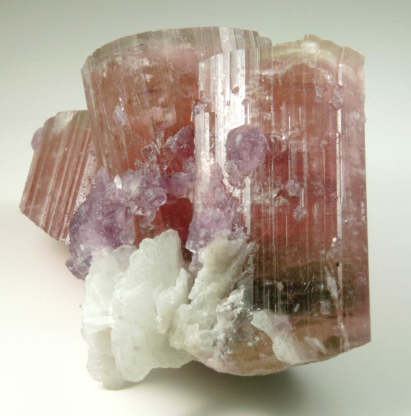 Elbaite var. Rubellite Tourmaline, Lepidolite, Albite from Himalaya Mine, Mesa Grande District, San Diego County, California