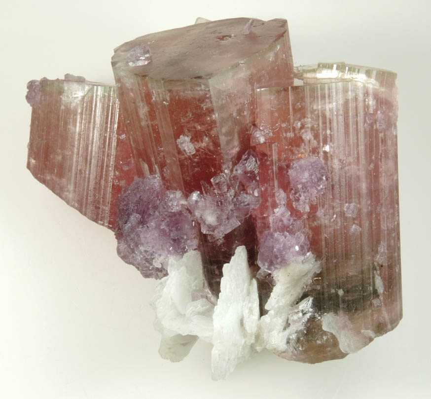 Elbaite var. Rubellite Tourmaline, Lepidolite, Albite from Himalaya Mine, Mesa Grande District, San Diego County, California