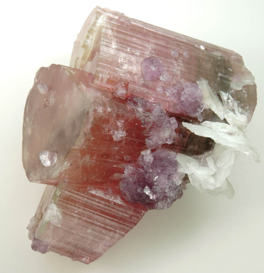 Elbaite var. Rubellite Tourmaline, Lepidolite, Albite from Himalaya Mine, Mesa Grande District, San Diego County, California