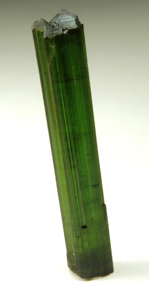 Elbaite Tourmaline from Gillette Quarry, Haddam Neck, Middlesex County, Connecticut