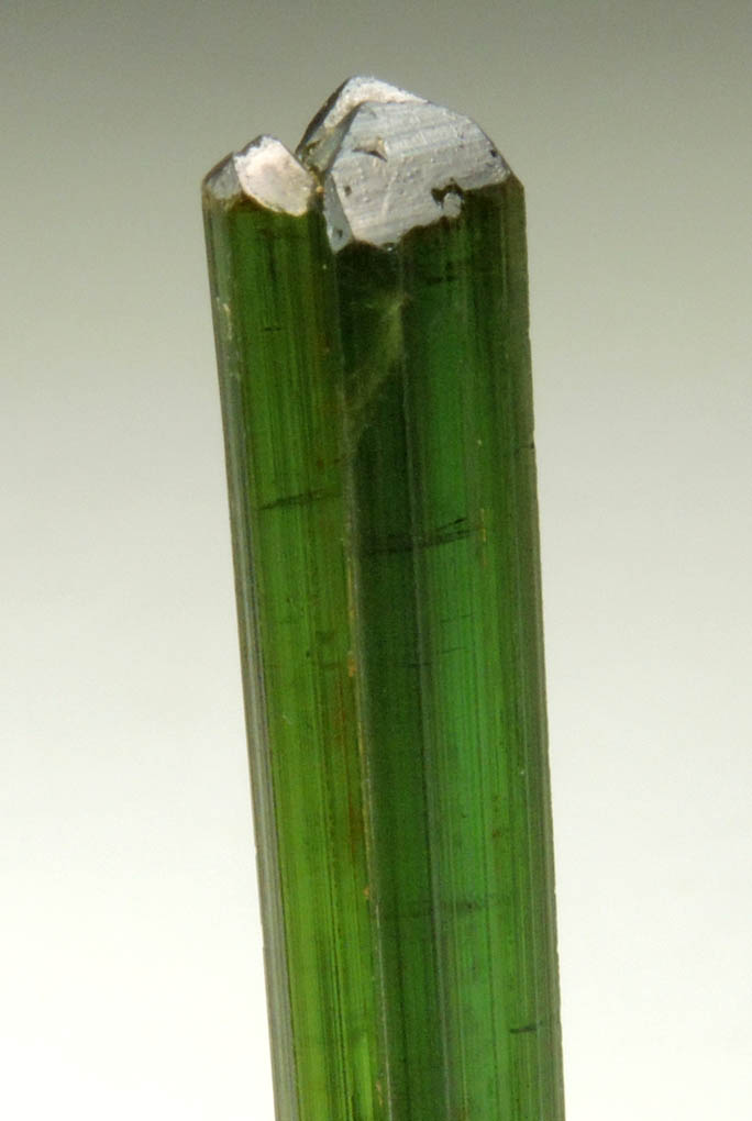 Elbaite Tourmaline from Gillette Quarry, Haddam Neck, Middlesex County, Connecticut