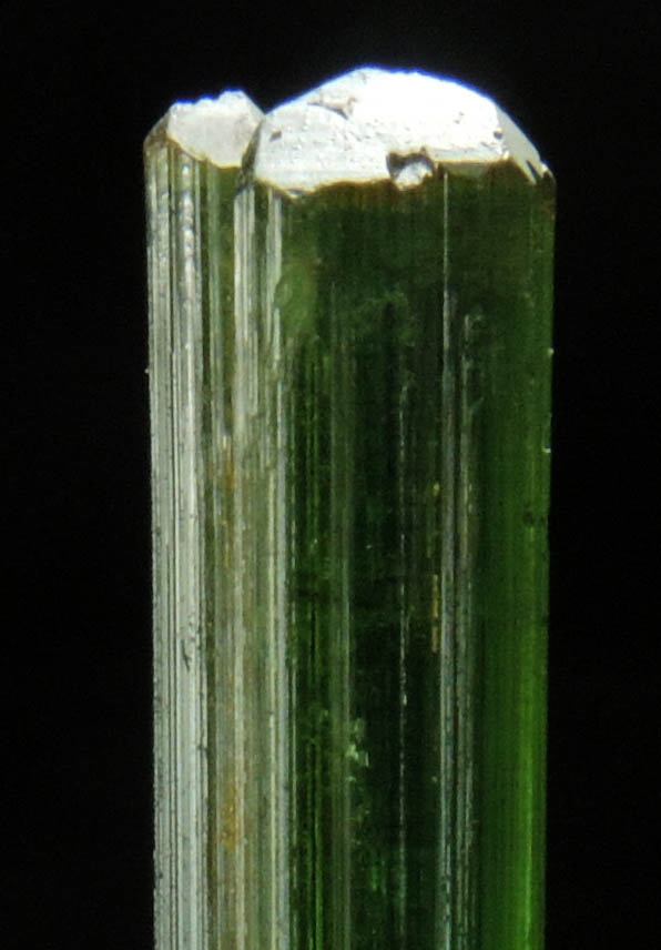 Elbaite Tourmaline from Gillette Quarry, Haddam Neck, Middlesex County, Connecticut